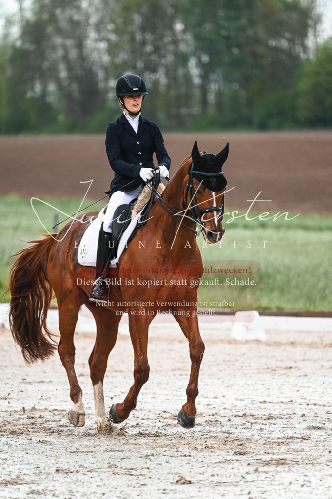 DSC_4252 | Pferde- und Turnierfotografie in Westsachsen. Pferdeportraits, Auftragszeichnungen und intuitive Kunst.