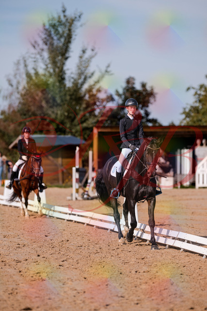 2026_10_03_Siefer-Hof_115504_Z81_95171659 | Professionelle Reitsport-, Turnier- und Eventfotografie von Robert Broda. Galerien mit ausgewählten und bearbeiteten Bildern direkt online ansehen und bestellen.