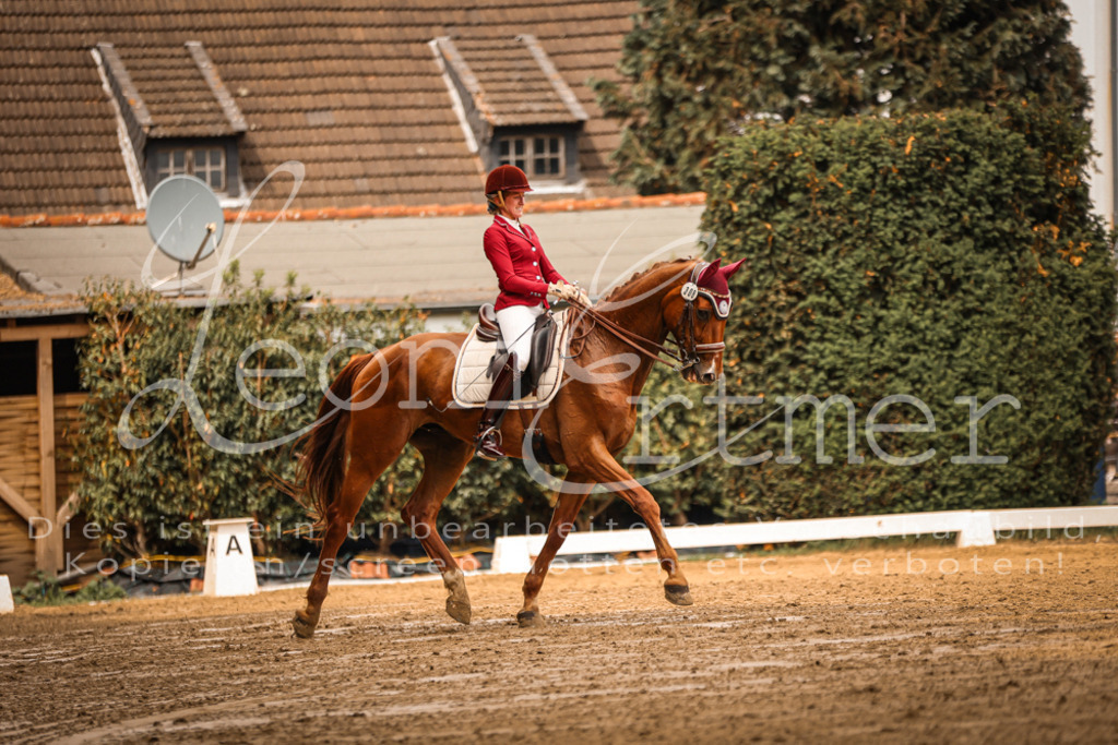 16.SaDrM00101 | Leoni Ertmer Photography - Realisiert mit Pictrs.com