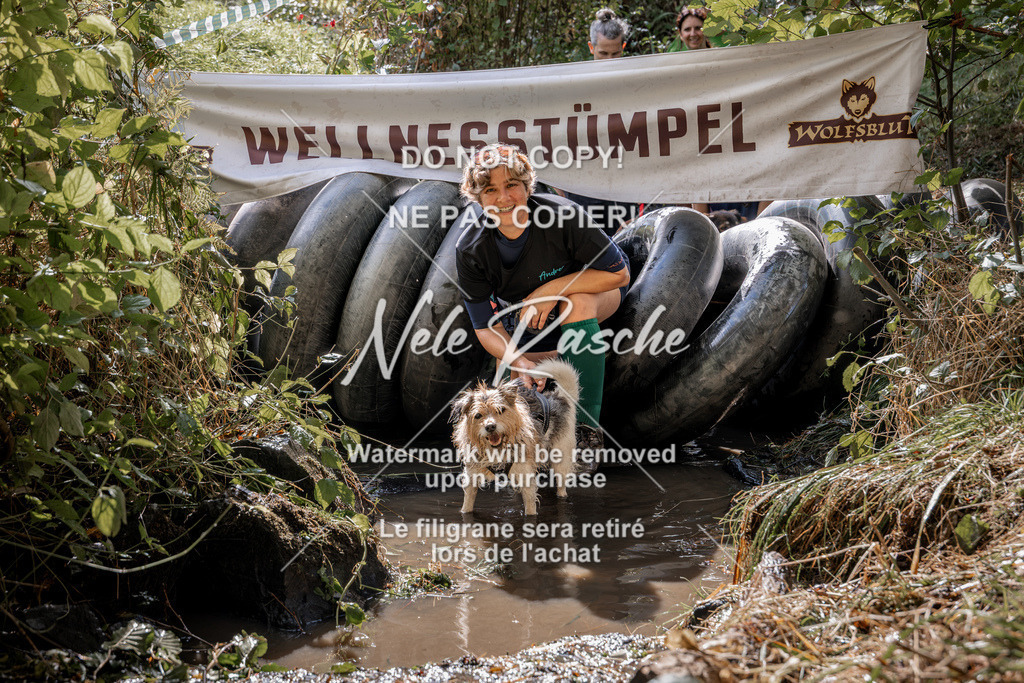 nelerasche_Hunsrück2026_Sa1400-1500_12 | nelerasche