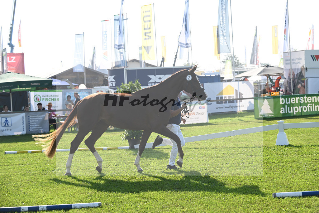 Kat-Nr. 2  Daressalam_Hoffmeister_34240014 | hf-fotografie - Realisiert mit Pictrs.com