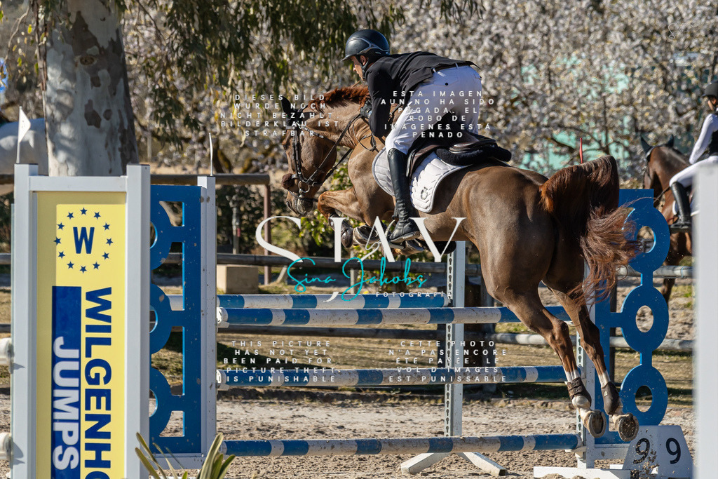 IMG_1633 | s-jay-photography - Realisiert mit Pictrs.com