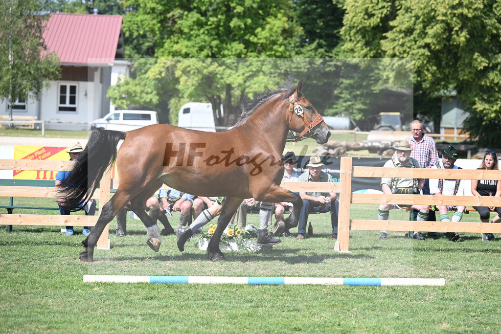 Kat-Nr. 24 Pepper_Gasteiger_20230363 | hf-fotografie - Realisiert mit Pictrs.com