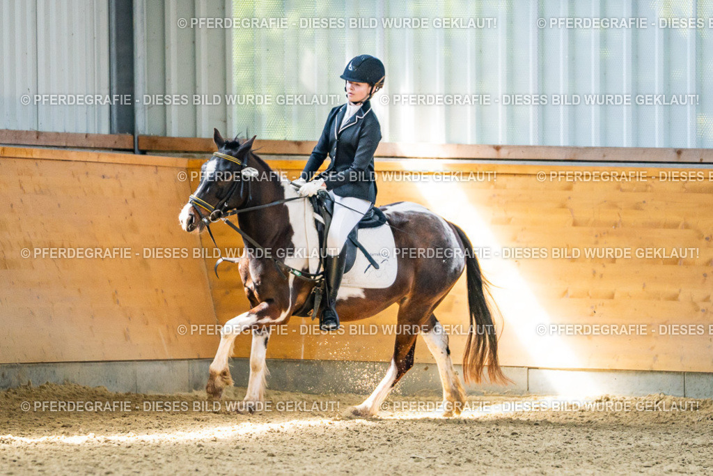 DSC03365 | Pferdegrafie