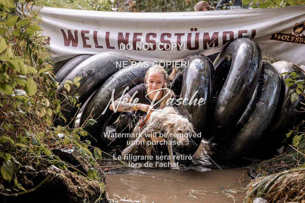 nelerasche_Hunsrück2026_Sa1400-1500_257 | nelerasche