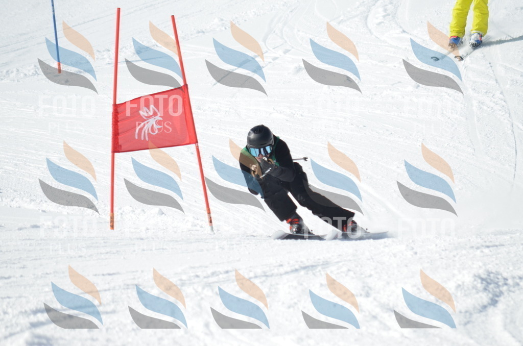 D9153 | holidayphoto