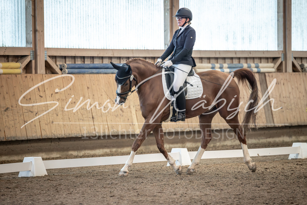 20251011-_3LI6146 | Tierfotografie Pferde, Hunde, Katzen, Haustiere.
Turnierfotografie Reitturniere, Reiten, Springreiten, Dressur in Hanau, dem Main-Kinzig-Kreis und dem Rhein-Main- Gebiet um Frankfurt