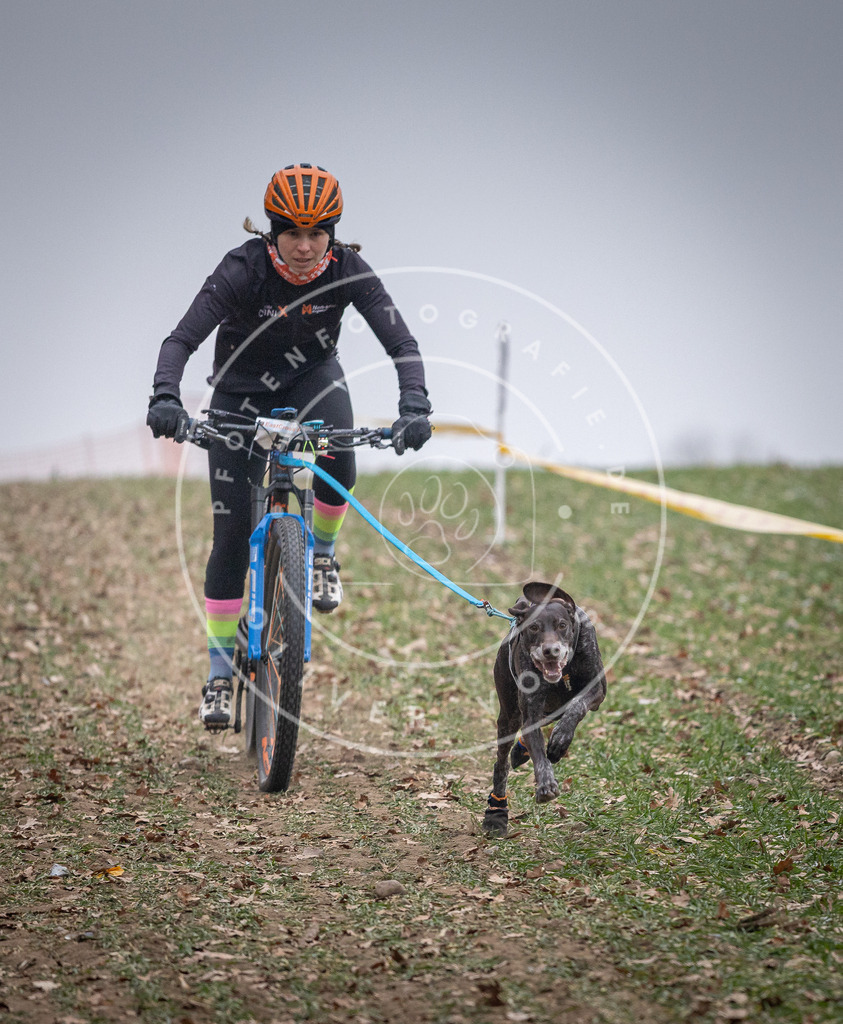 Pfotenfotografie_DV3A1016 | Hundefotografie, Tierfotograf, Pfotenfotografie, Fotoshooting Hund, Hunde Portrait, Hundesport, Hundeportraits, Heideshooting, Hunde, Sportfotograf, Hundefotograf, Turnierhundsport, THS,  - Realisiert mit Pictrs.com