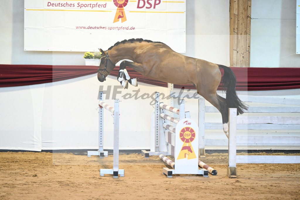 Kat-Nr. 62 v. Asti Spumante_Muehlbauer_66221406 | hf-fotografie - Realisiert mit Pictrs.com