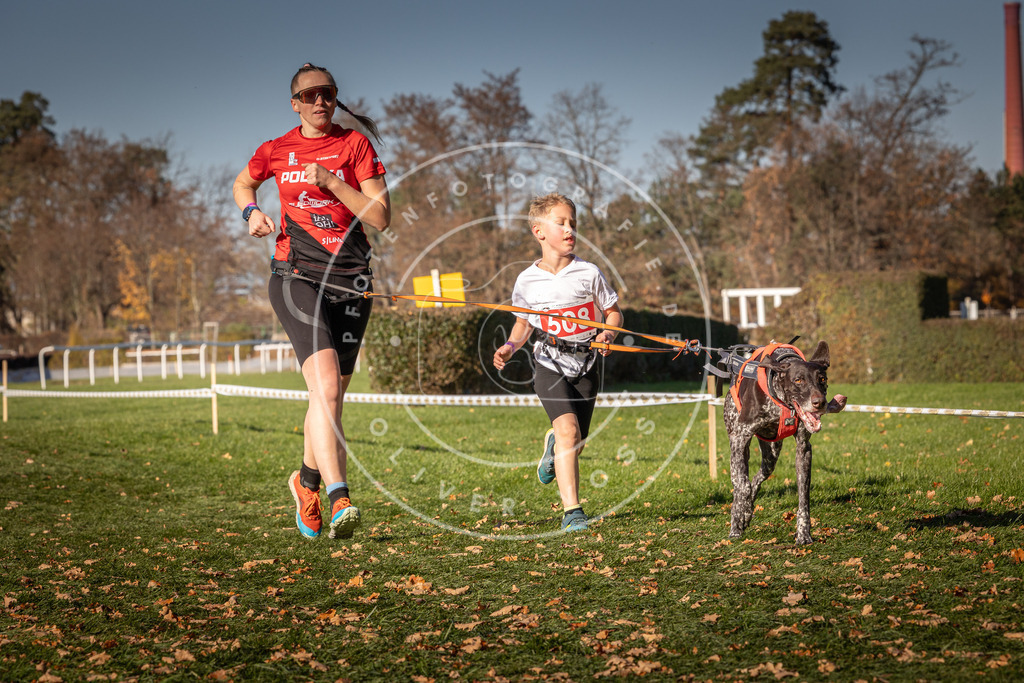 CaniXpix_0L8A6882 | Hundefotografie, Tierfotograf, Pfotenfotografie, Fotoshooting Hund, Hunde Portrait, Hundesport, Hundeportraits, Heideshooting, Hunde, Sportfotograf, Hundefotograf, Turnierhundsport, THS,  - Realisiert mit Pictrs.com