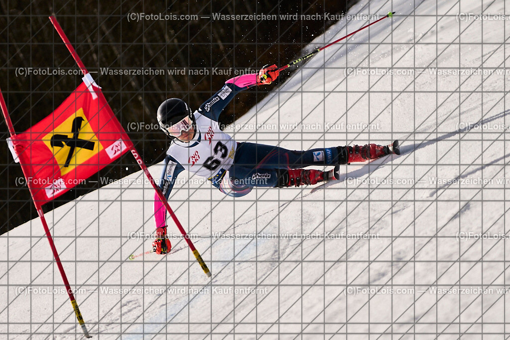 ALP8901_Herrn-FIS-GS-II_Lackenhof-WY_SCHERER Gregor | Internationaler FIS GiantSlalom der Herrn auf der Distelpiste in Lackenhof am Di 11. März 2025.  Österreich, LSV-NÖ, Sportunion Waidhofen/Ybbs (2035).
