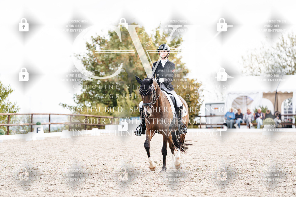 CK901604 | Turnierfotografie Pferdefotografie Trier Rheinland-Pfalz Pferdesport Reitsport Tierfotografie Sportfotografie Pferdevideo Pferdevideografie Equestrianvideography equestrianphotography  - Realisiert mit Pictrs.com