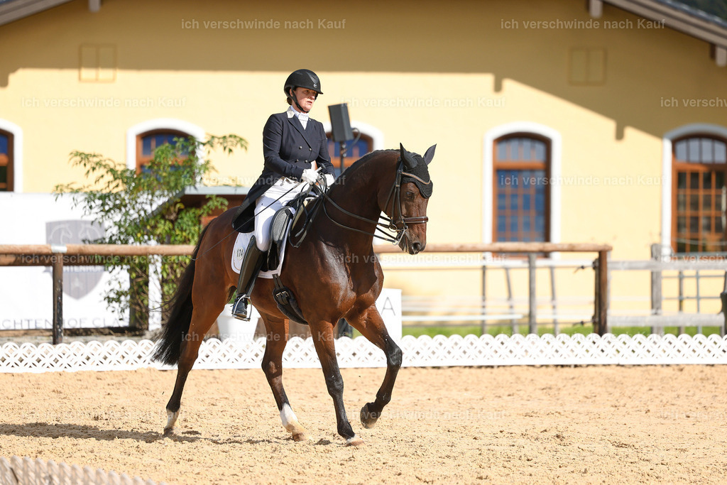 09_2-174-DRESSUR  S_  -StoibPH-5776 | working equitationturnier fotograf videograf stoibphotography marixx film working equitation deutschland reitsport turnierfotografie eventfotografie equestrian events