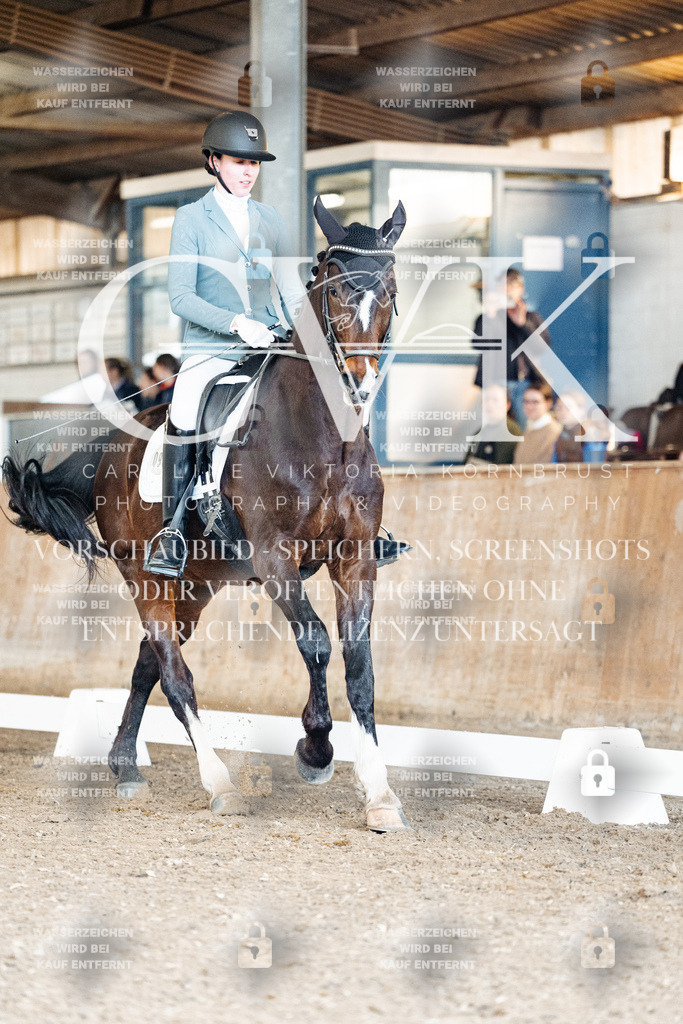 CK900981 | Turnierfotografie Pferdefotografie Trier Rheinland-Pfalz Pferdesport Reitsport Tierfotografie Sportfotografie Pferdevideo Pferdevideografie Equestrianvideography equestrianphotography  - Realisiert mit Pictrs.com