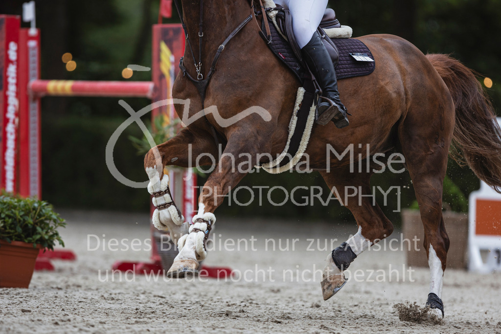 240614_Lemwerder_S1-Springen-547 | Deine schönsten Turniermomente als professionelle Fotos! Entdecke hochwertige Pferdesport-Fotografie im Online-Shop. Jetzt Fotos finden & bestellen!