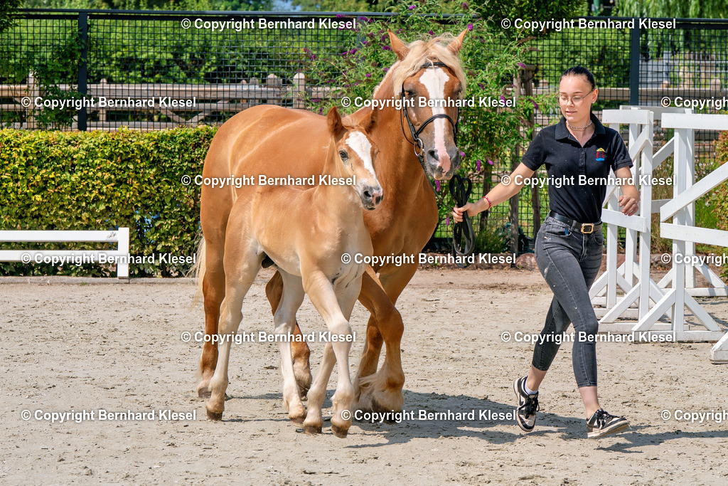 2A900396 | foto-team-bernhard - Realisiert mit Pictrs.com