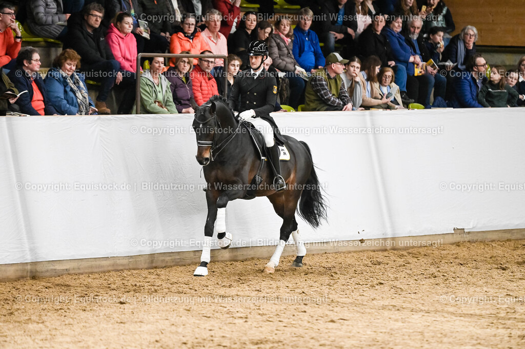 20260307_Hengstvorstellung-Marbach_0202 | equistock