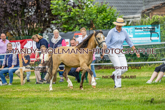 3_MG_3636 (1178) | mandyhollmannphotographie