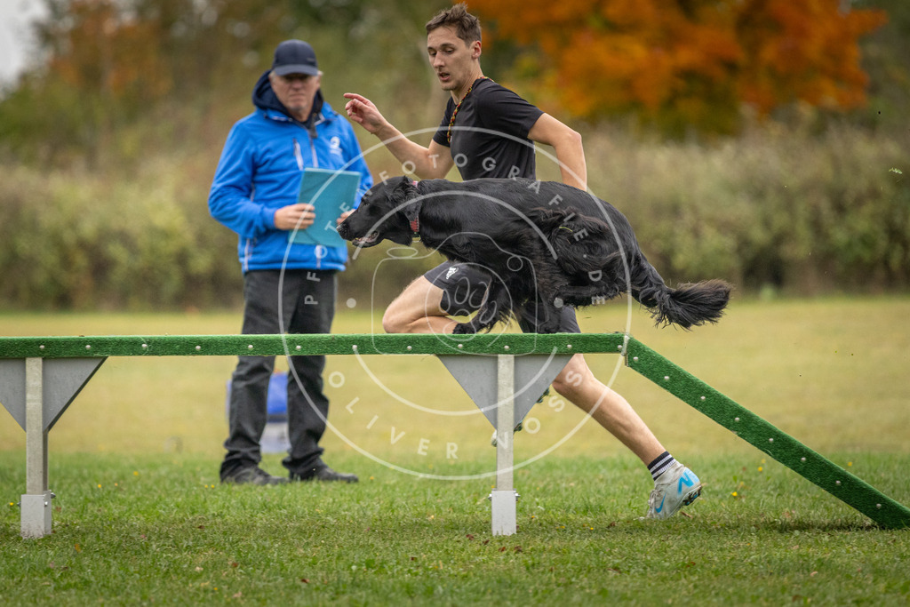Pfotenfotografie_DV3A0052 | Hundefotografie, Tierfotograf, Pfotenfotografie, Fotoshooting Hund, Hunde Portrait, Hundesport, Hundeportraits, Heideshooting, Hunde, Sportfotograf, Hundefotograf, Turnierhundsport, THS,  - Realisiert mit Pictrs.com