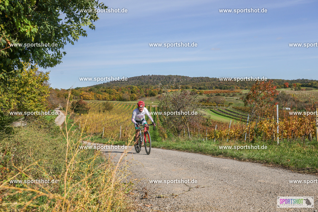 007A6263 | PANNONIA GRAVEL 2025 #pannoniagravel #gravel #offroad #onroad #burgenland #neusiedlersee #nrm #neusiedlerseeradmarathon #yourpictrs #sportshot_your_pictrs @Sportshot Photography www.sportshot.de