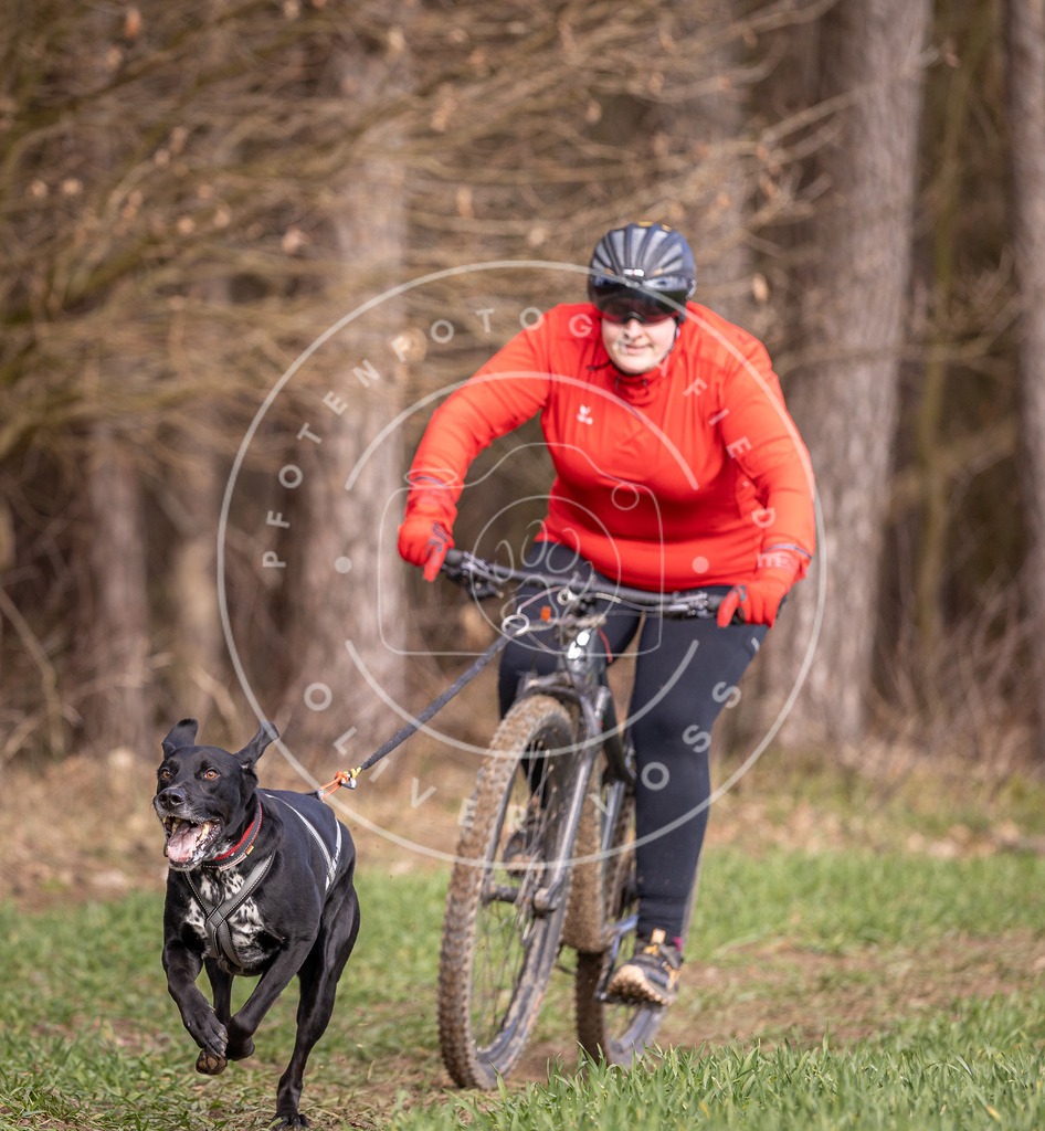 DV3A6154 | Hundefotografie, Tierfotograf, Pfotenfotografie, Fotoshooting Hund, Hunde Portrait, Hundesport, Hundeportraits, Heideshooting, Hunde, Sportfotograf, Hundefotograf, Turnierhundsport, THS,  - Realisiert mit Pictrs.com