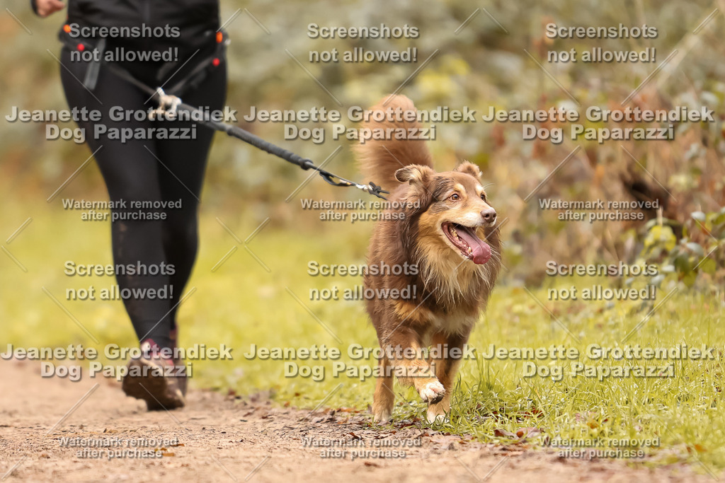 Dog Paparazzi - Speedhunter Mannheim  2025-124 | Dog Paparazzi Jeanette Grottendiek Fotografie & Videografie