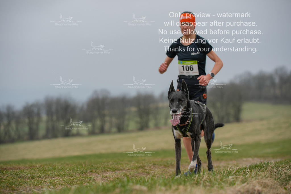 Canixlong-8 | stephaniefillaphotographie - Realisiert mit Pictrs.com