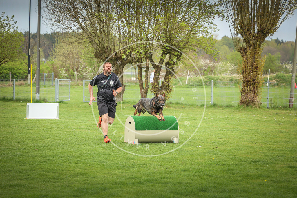 Pfotenfotografie_0L8A9698 | Hundefotografie, Tierfotograf, Pfotenfotografie, Fotoshooting Hund, Hunde Portrait, Hundesport, Hundeportraits, Heideshooting, Hunde, Sportfotograf, Hundefotograf, Turnierhundsport, THS,  - Realisiert mit Pictrs.com