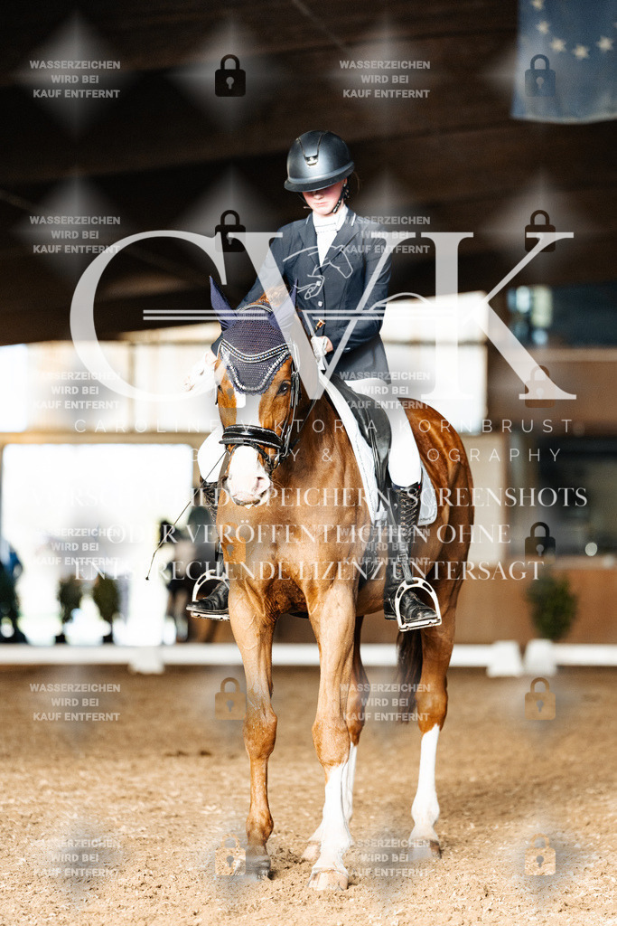 CK903302 | Turnierfotografie Pferdefotografie Trier Rheinland-Pfalz Pferdesport Reitsport Tierfotografie Sportfotografie Pferdevideo Pferdevideografie Equestrianvideography equestrianphotography  - Realisiert mit Pictrs.com