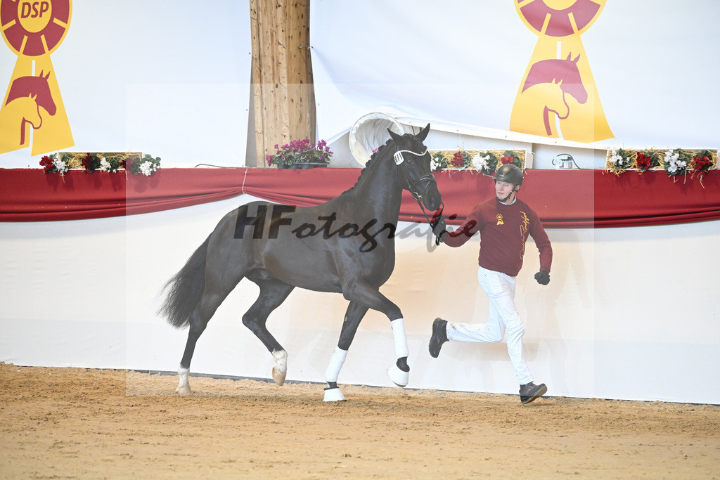 Kat-Nr. 71 Toto jr_Winklmaier_1231490 | hf-fotografie - Realisiert mit Pictrs.com