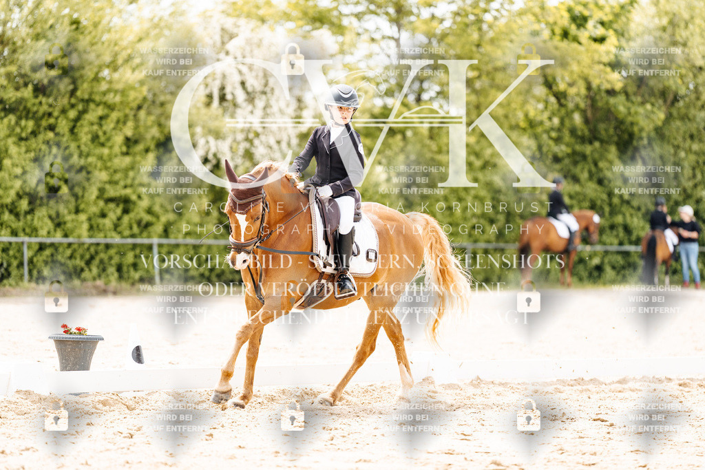 CK902560 | Turnierfotografie Pferdefotografie Trier Rheinland-Pfalz Pferdesport Reitsport Tierfotografie Sportfotografie Pferdevideo Pferdevideografie Equestrianvideography equestrianphotography  - Realisiert mit Pictrs.com