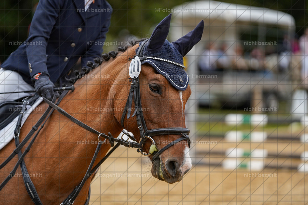 20231008-SN_01351 | Diessen am Ammersee, 2023, Dressur- und Springturnier, Reitsport, Turnierfotografie, Pferdebilder, Reitbilder, Turnierfotografen Bayern, Fotoagentur Herrmann