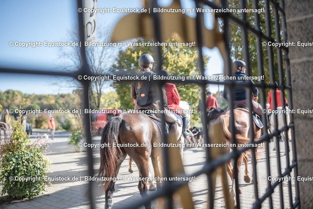 20251011_Jagd-Marbach_0653 | Foto: Thomas Hartig