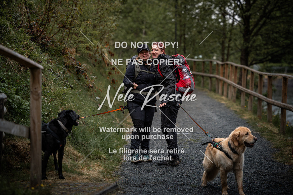 nelerasche_SaAbends_332 | nelerasche