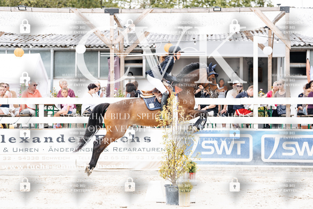 CK906228 | Turnierfotografie Pferdefotografie Trier Rheinland-Pfalz Pferdesport Reitsport Tierfotografie Sportfotografie Pferdevideo Pferdevideografie Equestrianvideography equestrianphotography  - Realisiert mit Pictrs.com