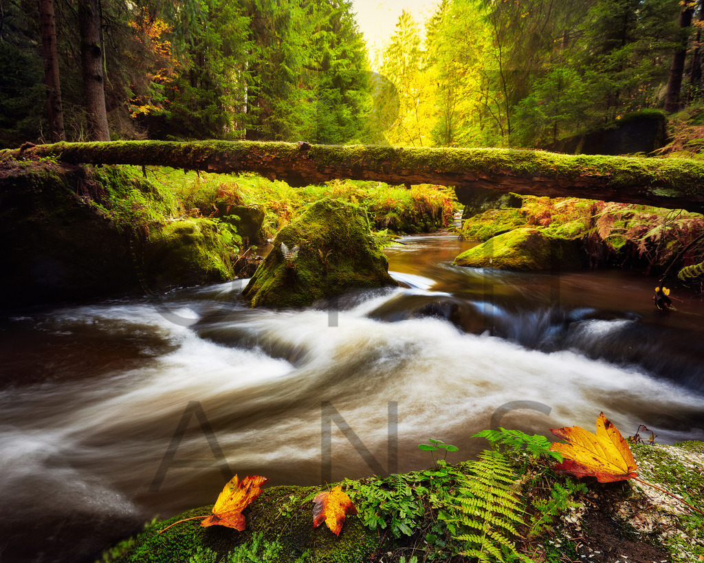 Ein Hans Fineart Original | Entdecke die Kunst von Hans Fineart - Fotografien für dein Zuhause. Verwandle deine Wände mit einzigartigen Kunstwerken und bringe die Schönheit der Welt in dein Leben. Bestelle jetzt und schaffe einen Ort der Inspiration und Eleganz.