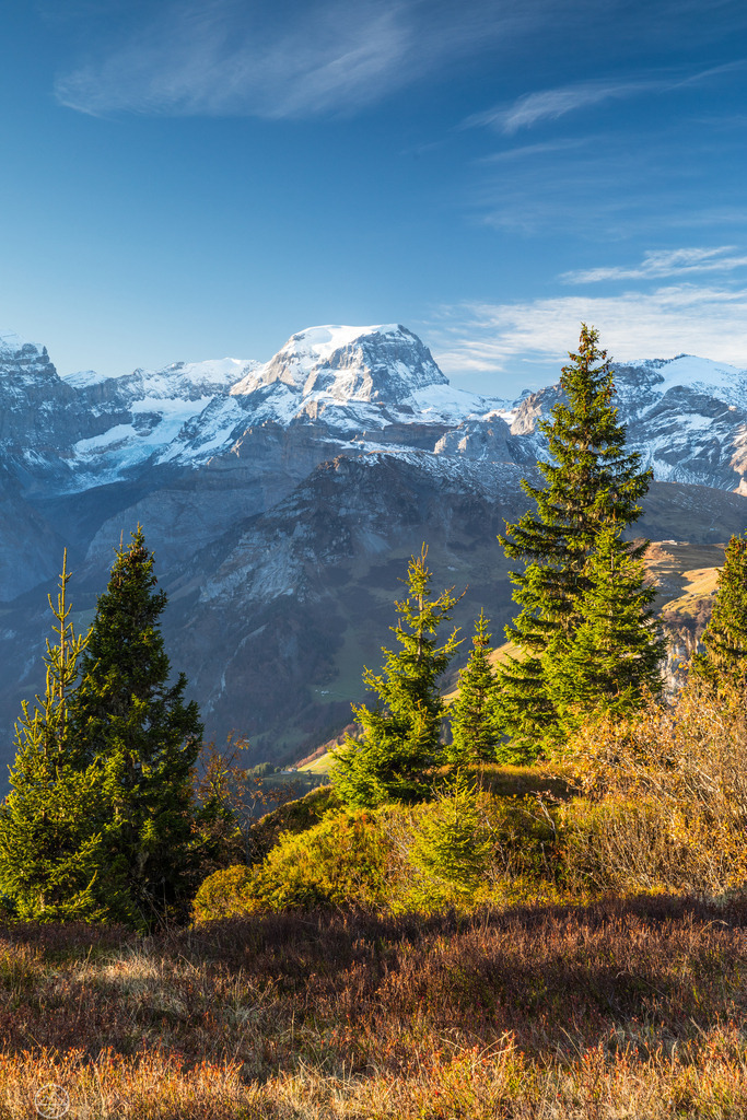 Herbstlandschaft vor dem Tödi 2 | Format 2 zu 3 - Realisiert mit Pictrs.com