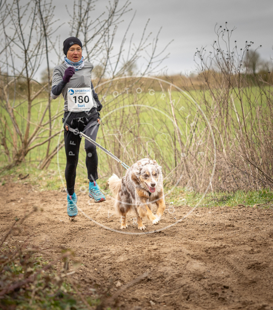DV3A2094 | Hundefotografie, Tierfotograf, Pfotenfotografie, Fotoshooting Hund, Hunde Portrait, Hundesport, Hundeportraits, Heideshooting, Hunde, Sportfotograf, Hundefotograf, Turnierhundsport, THS,  - Realisiert mit Pictrs.com