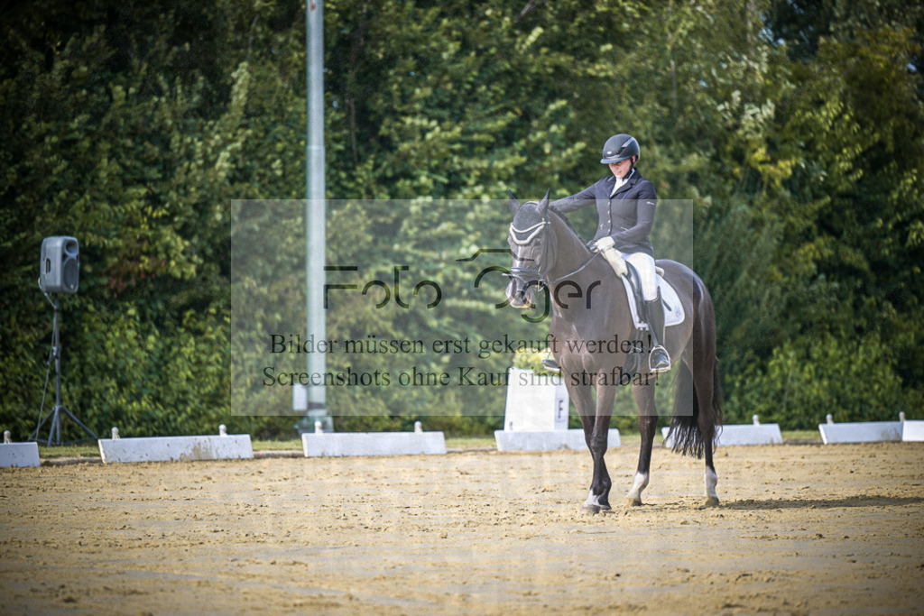 DOS_7863 | Entdecke hochwertige Reitturnierfotos von Foto Oger. Professionell, emotional und authentisch – jetzt Lieblingsmomente im Shop bestellen.Deutschlandweite Turnierfotografie. - Realisiert mit Pictrs.com