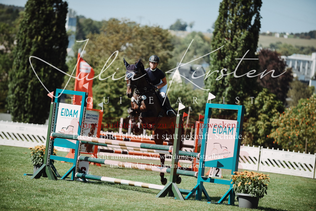 DSC_3275 | Pferde- und Turnierfotografie in Westsachsen. Pferdeportraits, Auftragszeichnungen und intuitive Kunst.