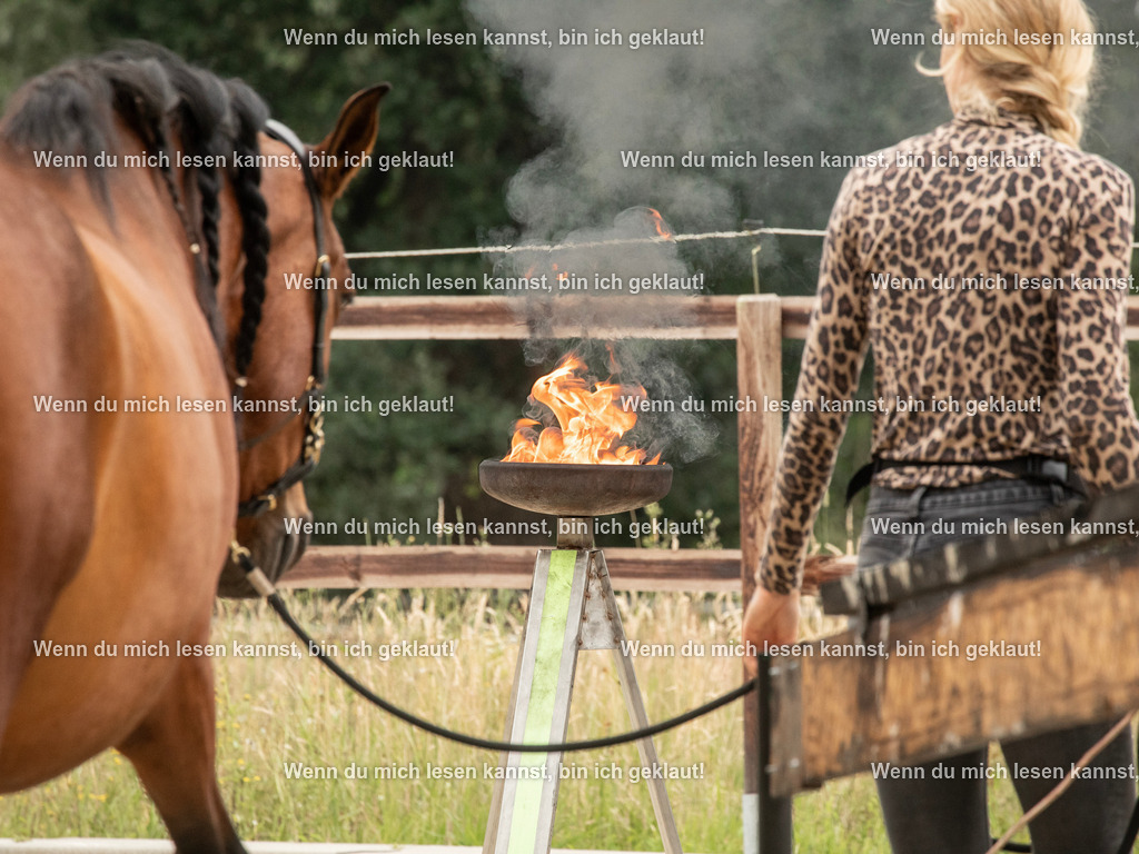 598A6449 | photographylinaismer - Realisiert mit Pictrs.com