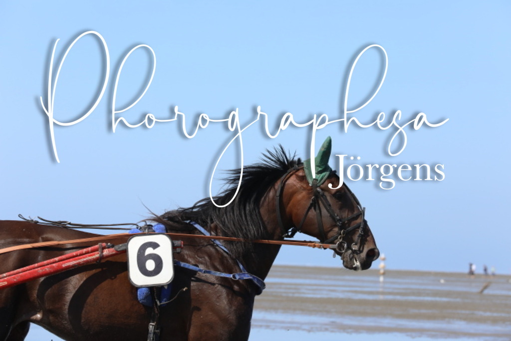 IMG_9492 | photographesa-joergens - Realisiert mit Pictrs.com