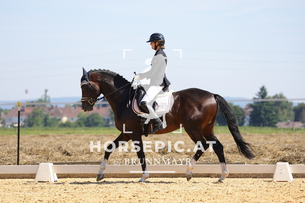 0P6A9613 | Willkommen bei Brunnmayr - Design & Fotografie – Ihrem Spezialisten für Reitturniere und Pferdeveranstaltungen in Oberösterreich, Salzburg und Bayern! Seit über 17 Jahren sind wir leidenschaftlich dabei.