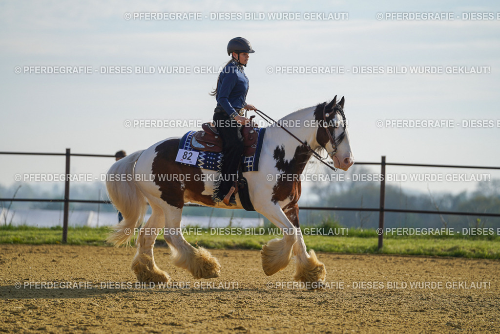 DSC00905 | Pferdegrafie