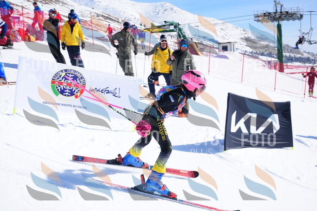 DSC_4191 | holidayphoto