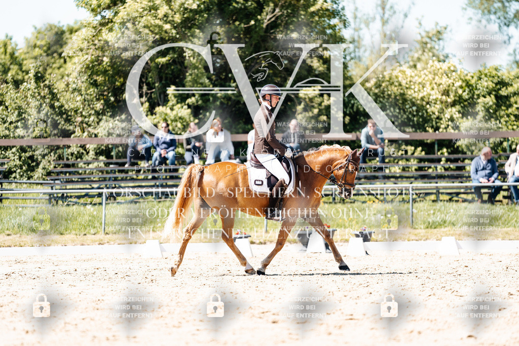 CK905583 | Turnierfotografie Pferdefotografie Trier Rheinland-Pfalz Pferdesport Reitsport Tierfotografie Sportfotografie Pferdevideo Pferdevideografie Equestrianvideography equestrianphotography  - Realisiert mit Pictrs.com