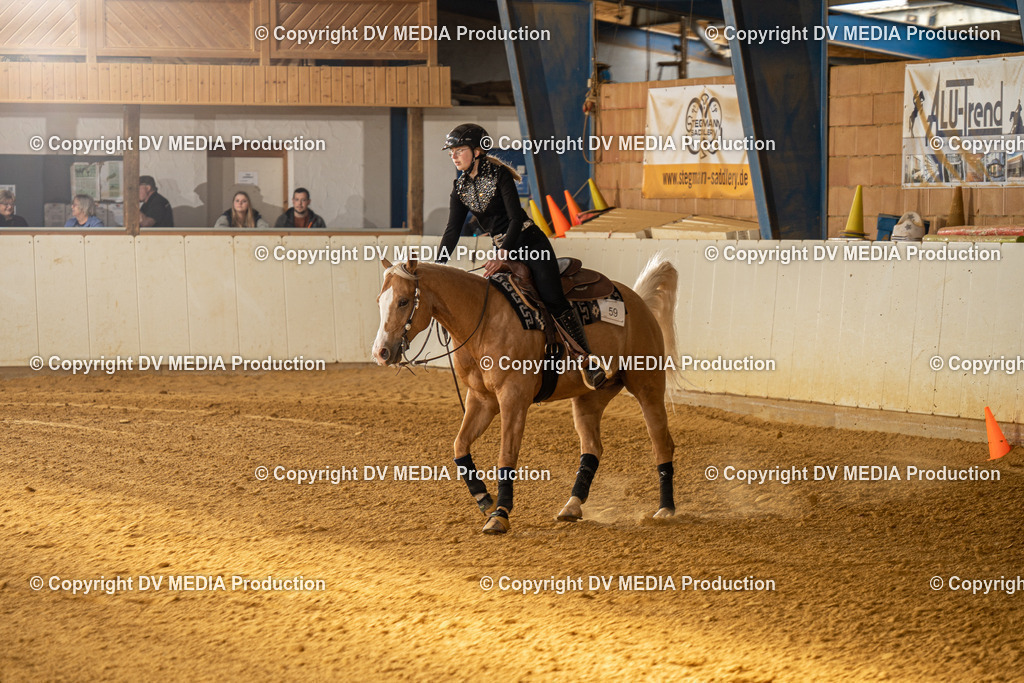 MIT01004 | dv-media-shop - Realisiert mit Pictrs.com