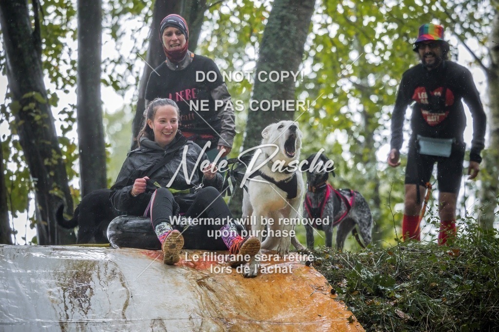 nelerasche_Hunsrück_Sa1230-1300_91-final | nelerasche