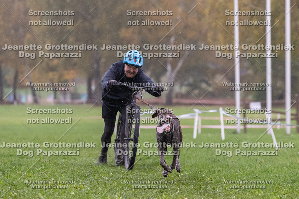 Dog Paparazzi - SD CaniX Championship 2025-899 | Dog Paparazzi Jeanette Grottendiek Fotografie & Videografie - Realisiert mit Pictrs.com