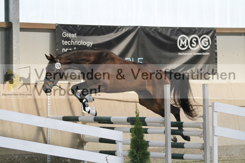 _MG_0887 | equestrian-live-com